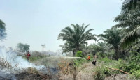 177 Hotspot Kepung Jambi, Asap Menebal, Ribuan Warga Terserang ISPA